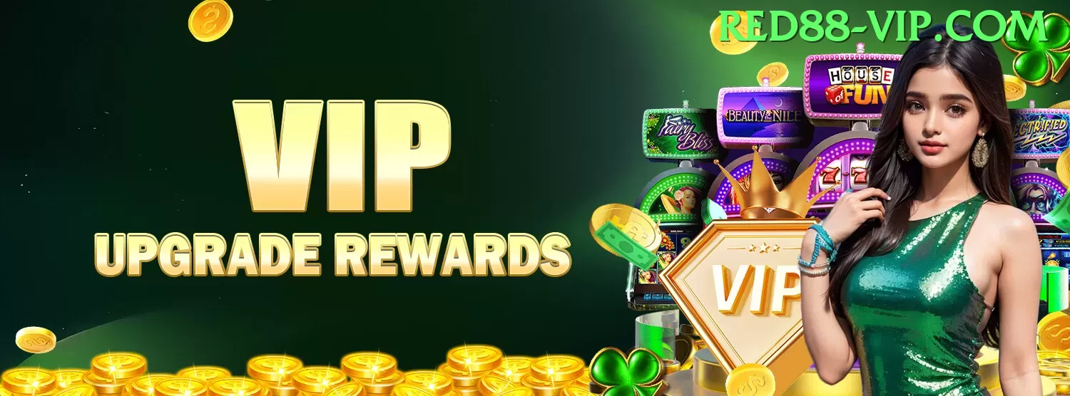 Experiência VIP ngr88 - ⚡ apk